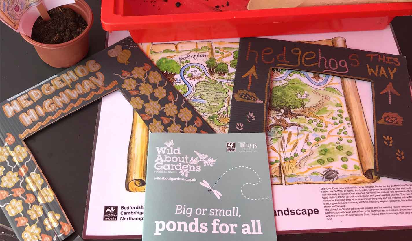 Featured image for “Wintringham and The Wildlife Trust at St Neots Rowing Regatta”