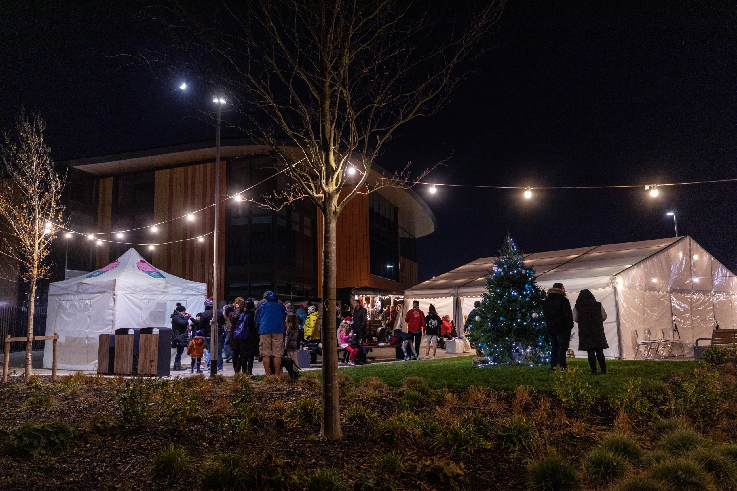 Featured image for “Walking in a Wintringham Wonderland”