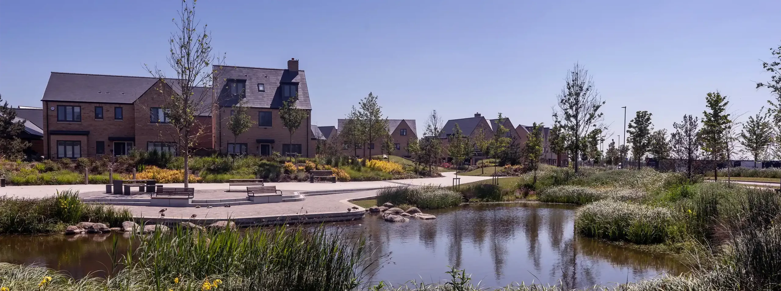 New build homes at Wintringham on a sunny day with a pond in the foreground