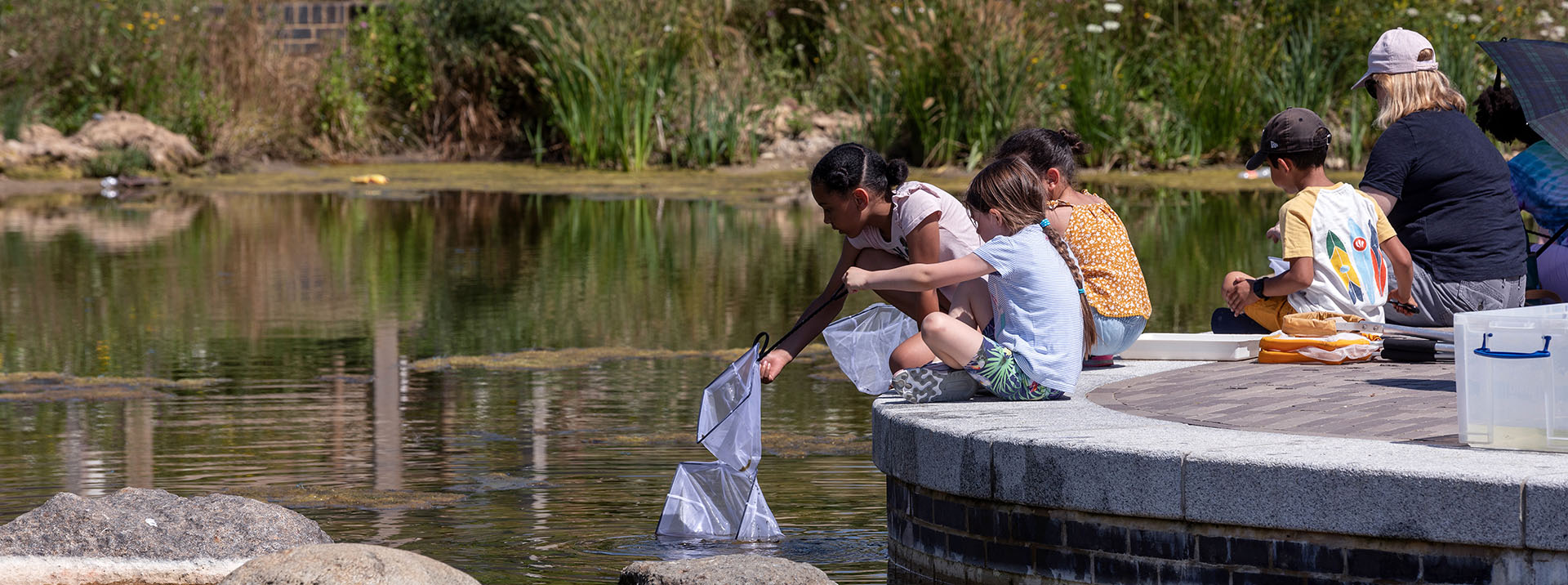 Pond-dipping