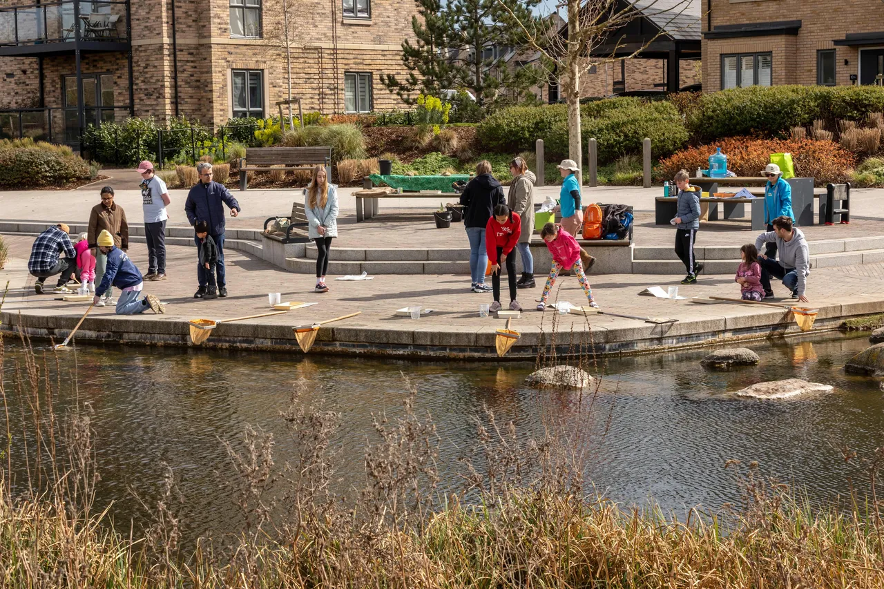 Community and family pond dipping